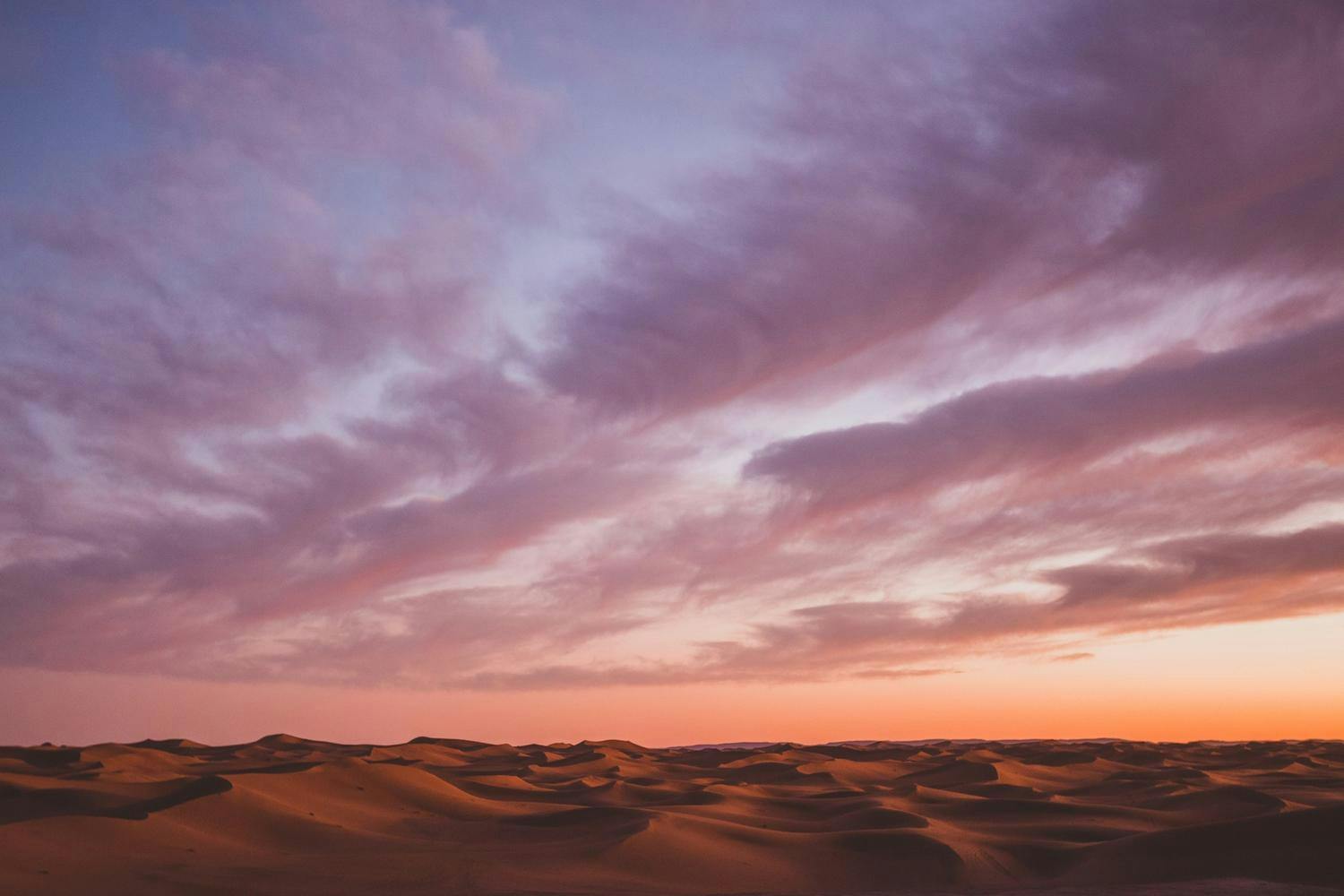 Sandsletter i Sahara